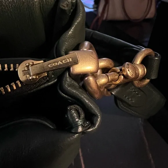 Coach, pillow tabby - Picture 6 of 7